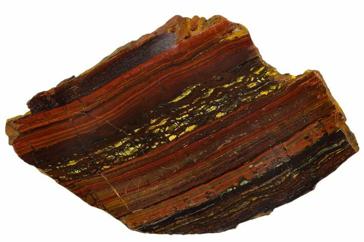Polished Tiger Iron Stromatolite - Billion Years #129301